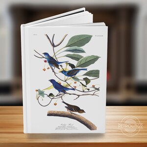 Cuaderno de tapa dura de aves para amantes de la naturaleza, hermoso regalo de James Audubon para entusiastas de las aves, diario de aves de estilo vintage, regalo de Cottagecore