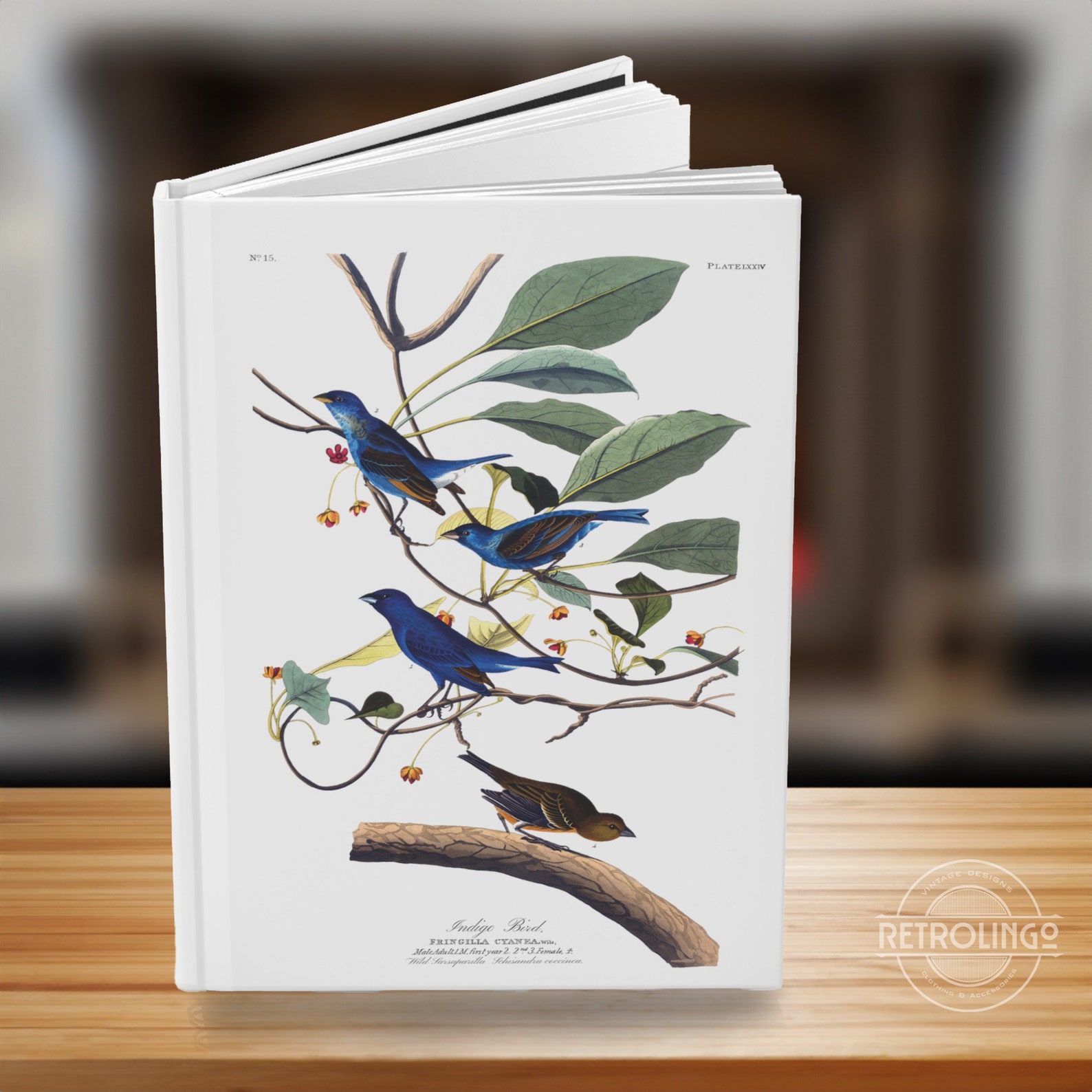 Bird Draw Notebook Bird Hardcover Notebook for Nature Lovers, Beautiful James Audubon Gift ...