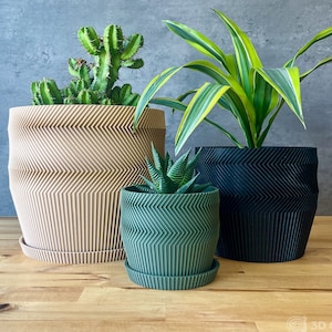 May include: Three potted plants in different sized planters with a chevron pattern. The planters are beige, black, and green. The plants are a succulent, a cactus, and a dracaena.