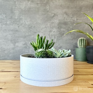 May include: A white ceramic planter with a textured surface, featuring a variety of succulents. The planter has a removable base.