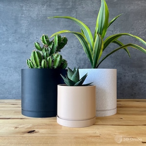 May include: Three potted plants in different sized black, beige, and white planters. The plants are a succulent, a cactus, and a dracaena.