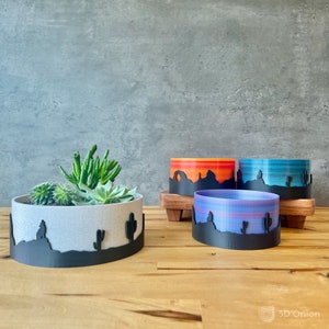 May include: A collection of decorative planters with a desert landscape design. One planter is filled with succulents. The other three planters have colorful sunset designs. The planters are made of a light gray material with a black silhouette of cacti and mountains.