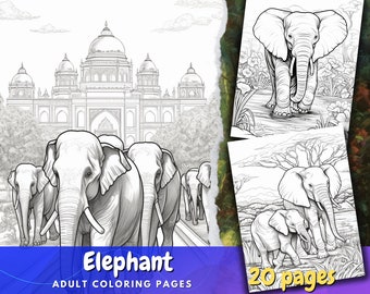 Elefant Malvorlagen Und Elepahnt Familie Malvorlagen Für Erwachsene Spaß
