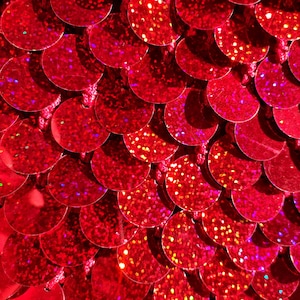 Scarlet Ruby Pailletten-Tasche - Handgemachte Häkeltasche aus Mesh