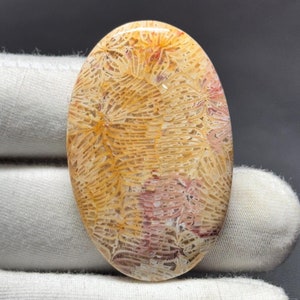 Natürlicher Fossiler Korallen Cabochon, handgemachter Edelstein, Schmuckherstellung (39x27x6 MM)