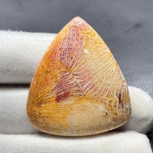 Fossile Korallen Cabochon, handgemachte Edelstein, Schmuckherstellung (40x35x6 MM)