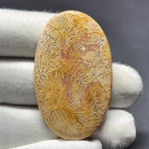 Natürlicher Fossiler Korallen Cabochon, handgemachter Edelstein, Schmuckherstellung (47x29x6 MM)