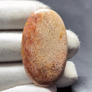 Natürliche Fossil Coral Cabochon, handgemachte Edelstein, Schmuckherstellung (43X26X5 MM)