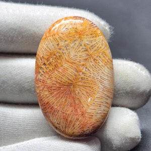 Natürlicher Korallen-Cabochon, handgemachter Edelstein, Schmuckherstellung (43x27x6 MM)