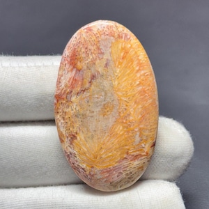 Natürliche Fossil Coral Cabochon, handgemachte Edelstein, Schmuckherstellung (44X27X5 MM)