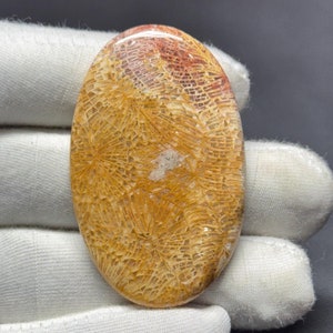 Natürlicher Korallencabochon, handgemachter Edelstein, Schmuckherstellung (49x30x6 MM)