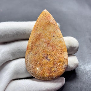 Natürliche Fossil Coral Cabochon, handgemachte Edelstein, Schmuck machen