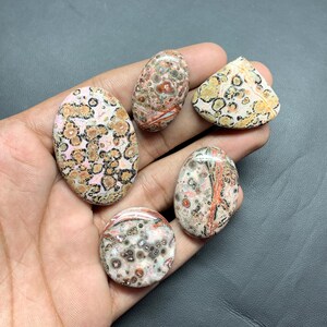 Natural Leopard Skin Jasper Cabochon, Wholesale Lot Cabochon By Weight With Different Shapes And Sizes Used For Jewelry Making