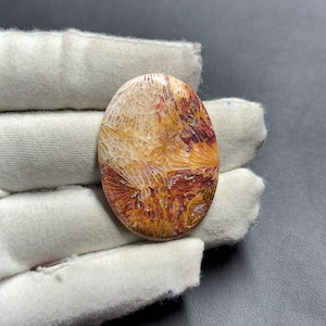 Natürlicher Fossil Korallen Cabochon, handgemachter Edelstein, 38 x 27 mm