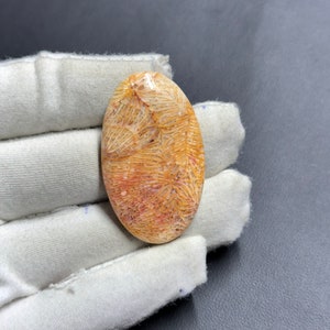 Natürlicher Fossil Korallen Cabochon, handgemachter Edelstein, 41 x 25 mm