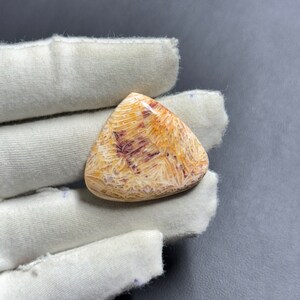 Natürlicher Fossil Korallen Cabochon, handgemachter Edelstein, 32 x 28 mm