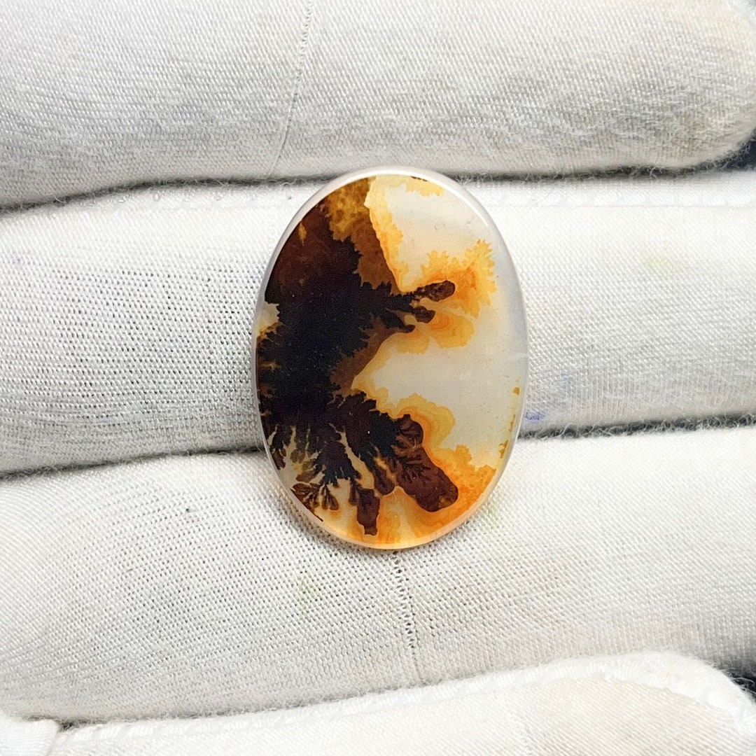 Cabochon Dentrite 13,40 Carats - Pierre Naturelle, Cabochon, Qualité Collection