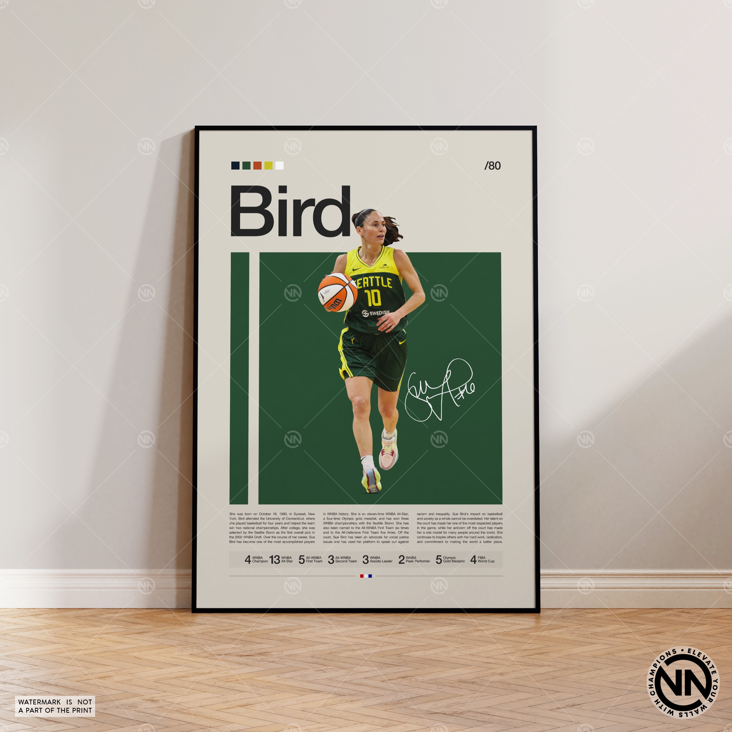 Sue Bird Trophy Case WNBA A Legendary Career Home Decor Poster