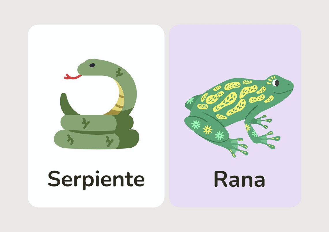 Spanish Animal Flashcards Teach Kids Spanish Español Learning Bilingual ...