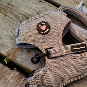 Country Outing - navy blue tweed fabric adjustable neck harness