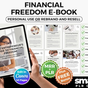 Financial Freedom PLR Ebook, 40-Page Editable Canva Template, Business Budgeting and Wealth Guide, Resell & Rebrand Digital Download