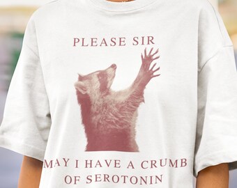 Wasbeer shirt kruimel serotonine bedompte meme shirt grappige meme shirts grappig gen Z shirt ADHD shirt neurodiversiteit shirt kaneel meisjes tee cadeau