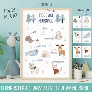 Tiere am Nordpol Lernposter & Lernkarten | Kindergarten Vorlage Montessori Lernposter für Kita Vorlage | Lernposter Montessori Vorlage Kita