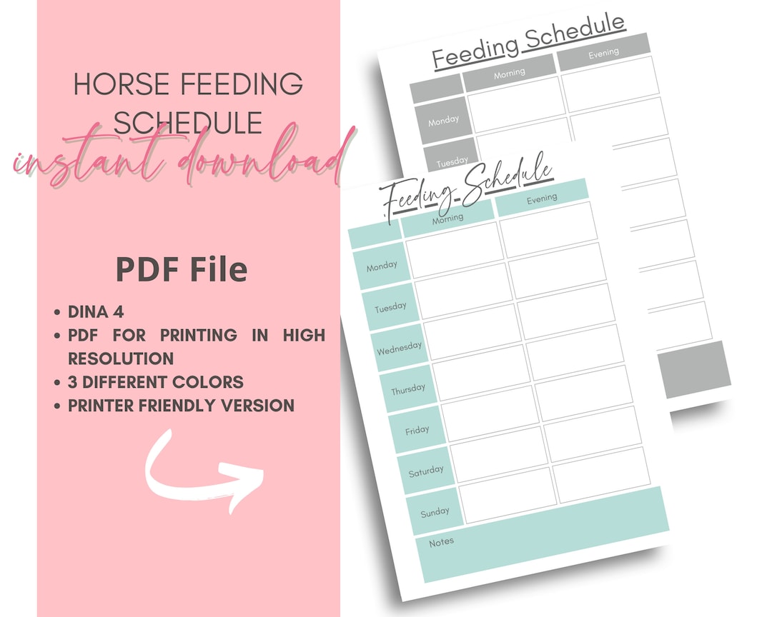 Horse Feeding Schedule Horse Feed Planner for Questrian Etsy