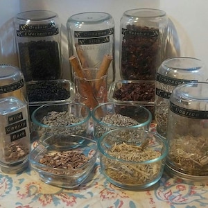 Holundersirup mit Echinacea-Kirschrinde, ganz natürlich, organisch, homöopathisch, beruhigend, Kältepflege, 8-Unzen-Flasche