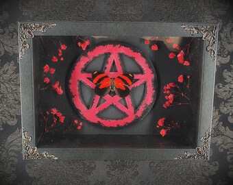 Handmade Gothic Pentacle Entomological Frame – Red & Black Butterfly