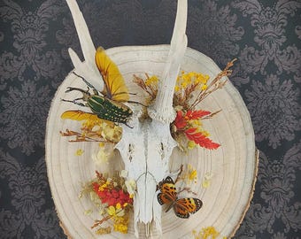 Dekoriertes Hirschgemetzel – Schmetterling & Käfer, Trockenblumen – Handgefertigte gotische Wandkunst