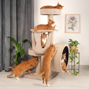 May include: A beige cat tree with multiple levels, including a hammock, a scratching post, and a wheel. Five orange tabby cats are playing on the cat tree.