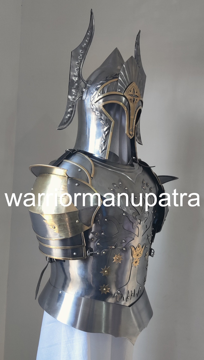 May include: A polished steel suit of armor featuring a helmet with tall, curved side crests and a breastplate decorated with brass star accents and engraved leaf patterns. The shoulder pauldrons are layered steel with brass trim accents.
