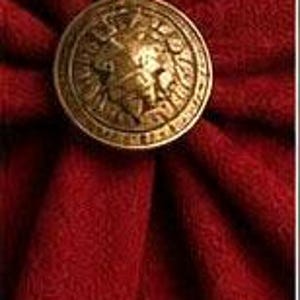 May include: A circular brass-toned metal button featuring a relief of a lion head, centered on a deep red fabric with radiating folds. The text "VM WARRIOR" is visible in the upper right corner, accompanied by a small sword icon above the letters.