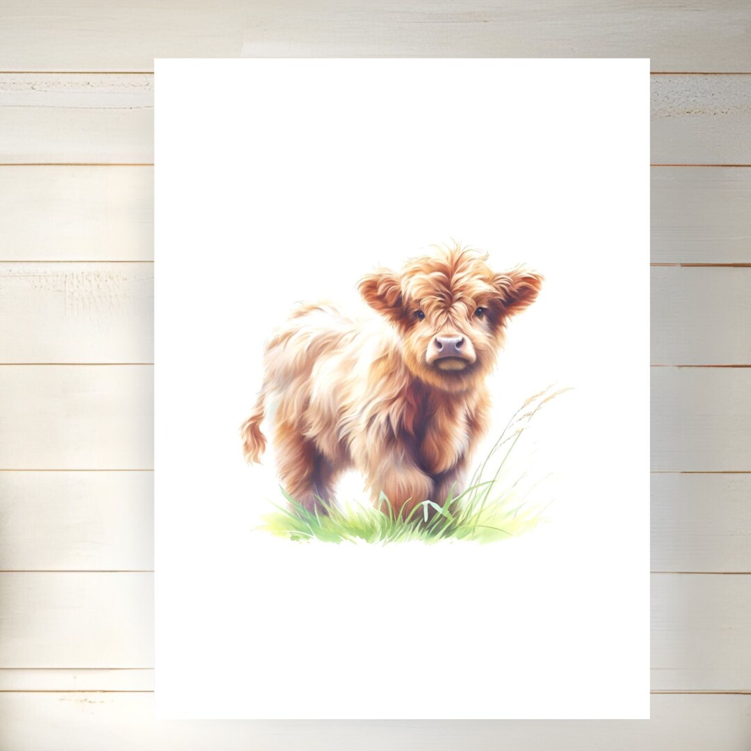 Watercolor Highland Calf Poster Print: Baby Cow Nursery Wall Art - Etsy