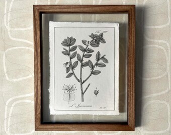 Botanical wall art, botanical print, vintage poster, wall art set, floral wall art floral prints minimalist wall art antique farmhouse decor