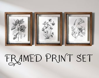 Vintage wall art, botanical prints, antique, vintage decor, bedroom wall art, living room wall art prints triptych wall art gallery wall set