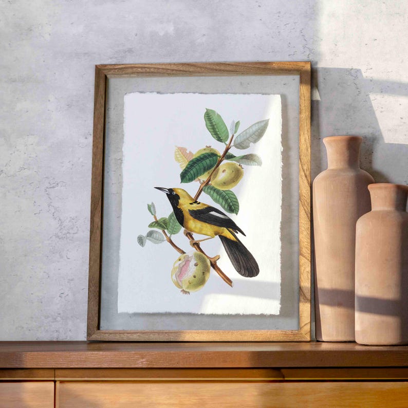 Vintage & Retro Nature Inspired Wall Art Gift Vintage Host Gifts Wall