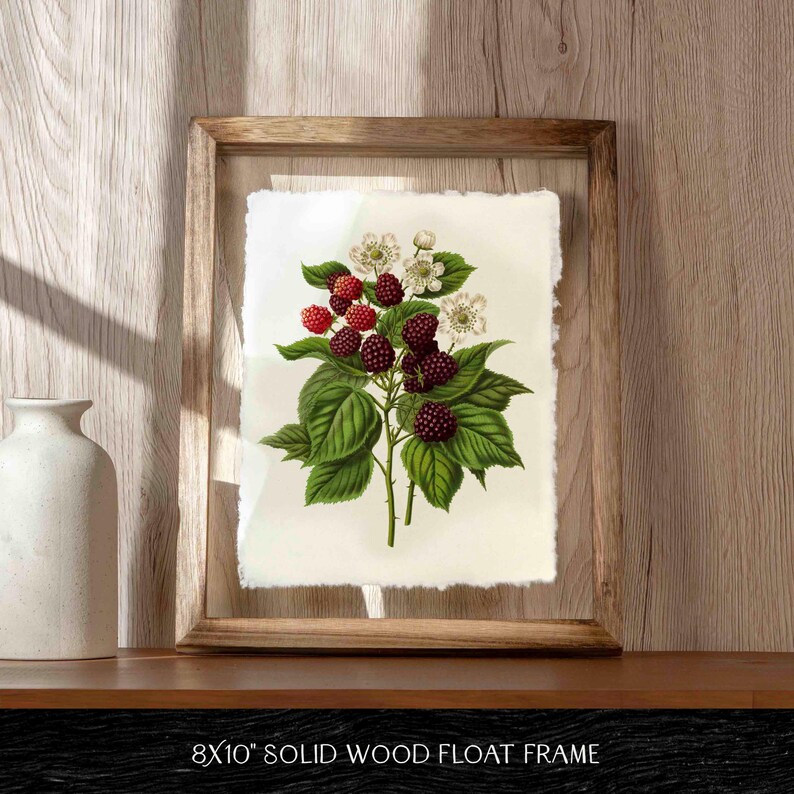 Vintage & Retro Nature Inspired Wall Art Gift Vintage Host Gifts Wall