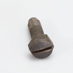 May include: A dark grey metal bolt featuring a hexagonal head with a single centred slot for a flathead screwdriver. The threaded shaft extends from the base of the head, showing a uniform metallic texture and a standard industrial design.