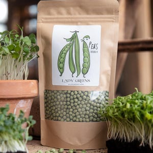 May include: A kraft paper bag of dried peas with a clear window, labeled "Peas" and "Lady Greens Microgreens Farm." The bag is surrounded by fresh microgreens in a terracotta pot and on a wooden surface. The peas are a light green color.