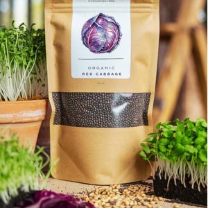 Organic Red Cabbage Microgreen Seeds, Non GMO,  sprouts Indoor Planting (4 Oz.)