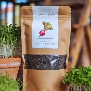 Organic Purple Radish Microgreen Seeds sprouts Indoor Planting (4 Oz.)