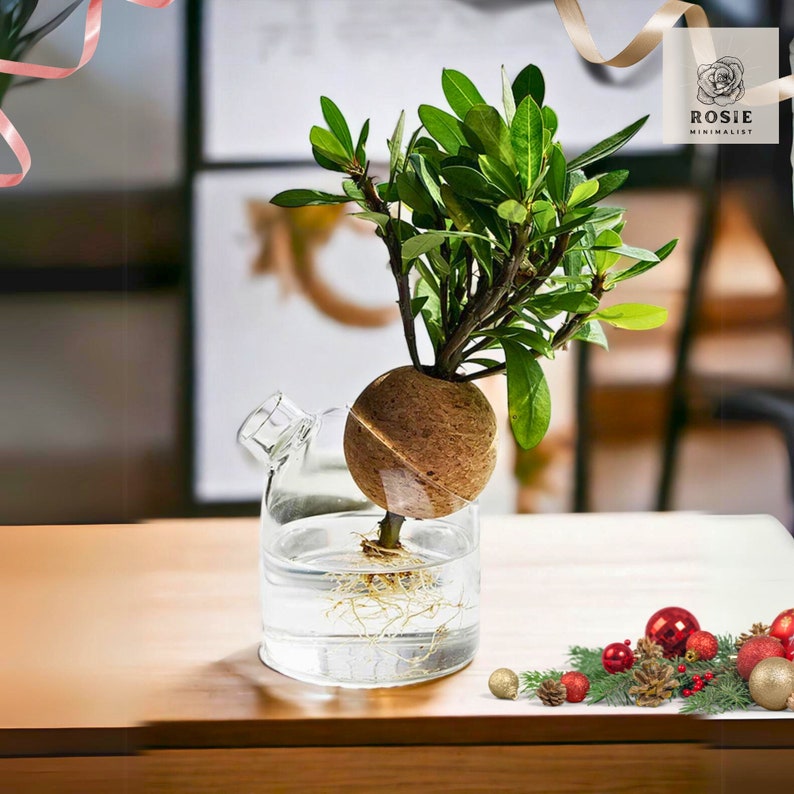 Glass Propagation Jar With Cork Lid Ideal for Hydroponic Etsy