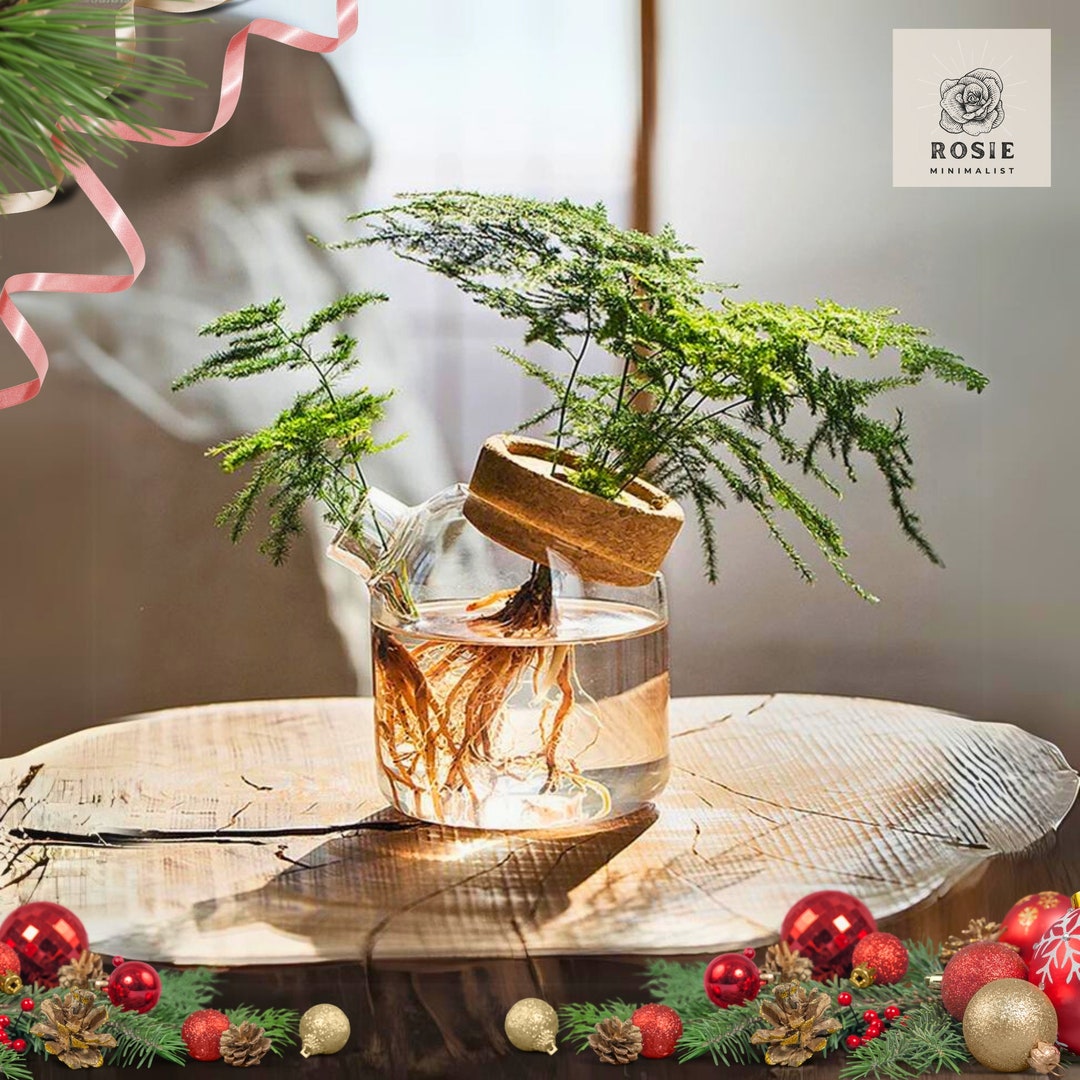 Glass Propagation Jar With Cork Lid Ideal for Hydroponic Etsy