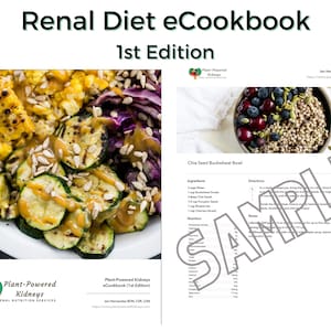 Renal Diet eCookbook (PPK 1st Edition)