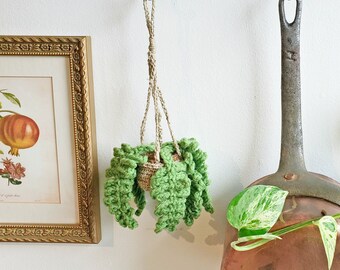 Handmade Crochet Hanging Fern Plant: Botanical Home Decor