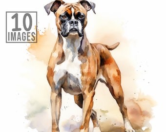 Boxer Clipart, 10 High Quality JPGs, Watercolor Clipart, Clip Art Bundle , Clip Art Watercolor, Dog Clipart, Dogs Clipart