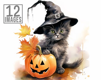 Halloween Witch Cat Clipart, 12 High Quality JPGs, Watercolor Clipart, Witch Clipart, Halloween Clip Art, Black Cat Clipart, Scrapbook