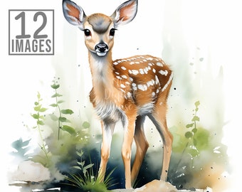 Fawns Clipart, 12 High Quality JPGs, Watercolor Clipart, Scrapbook, Junk Journal, Watercolor Animals, Fawn Clipart, Baby Fawn, Deer Clipart